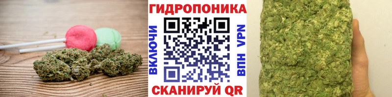продажа наркотиков  hydra ссылка  Cannafood марихуана  Верхоянск 