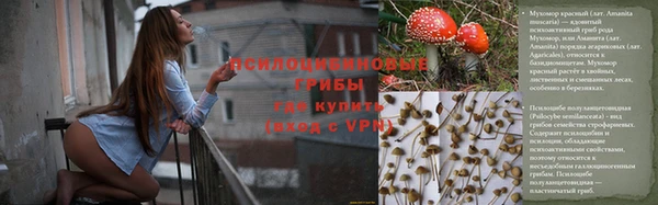 кокаин перу Белокуриха